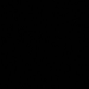 Meet your Posher, Dae